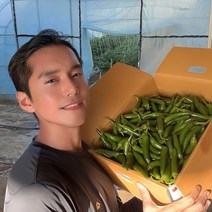 햇 모닝 풋 고추 못난이 5kg, 1개