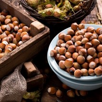 캔들바다 헤이즐넛 케리어오일 캐리어오일 베이스오일 비누만들기재료, [ 1L ]