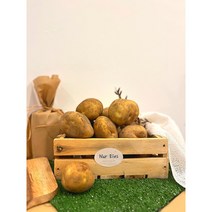 강원도 남작감자 하우스감자 강원도감자 찐감자 수미감자 3kg 5kg 10kg, 1개
