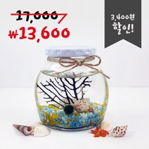 미니가든 틴캡 어항 산호 마리모키우기 DIY 키트, 색돌1.흰색