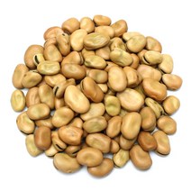 자연초 파바빈 콩 2kg 잠두콩 파바빈