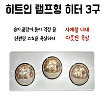욕실히터 2구/나노전자 급속난방 1초 순간난로/화장실 벽걸이 욕실난방기 순간히터 근적외선램프, 2구 욕실히터