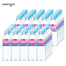 가야 g워터 500ml 40개 생수 물 속리산 샘물 워터, 동원샘물(500mlx40개입)
