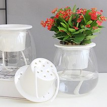 집비울때 식물 자동급수 수경재배화분 주택조경 라운지 치커리심기 아파트텃바트 거실, 1개, 라운드형