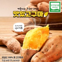 다이어트고구마 베니하루카 햇고구마 호박고구마 밤고구마 3kg 5kg, 5kg 왕