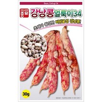콩씨앗종자) 울타리 강낭콩(20g) S2576