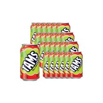 롯데칠성 오랑지나 420ml X 24pet프랑스에서 온 리얼과즙 탄산음료, 탐스제로 청포도/석류 355ml 24캔