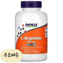 나우푸드 엘 아르기닌 L-Arginine 500mg 250 캡슐, 1개, 250정