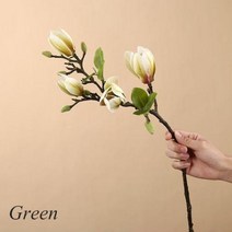 플라워월 꽃벽 포토존 인조 조화 꽃 장식 시뮬레이션 목련 흰색 홈 거실 식탁 웨딩, Green