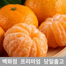 [특등급선별] 감귤 1.5kg 타이벡감귤 타이백감귤 제주귤 효돈감귤 불로초감귤 노지귤 제주도귤 금귤 노지감귤 조생귤 서귀포감귤 무농약귤 유기농귤 고당도귤 제주노지감귤 금귤정과
