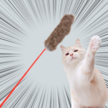 멍해묘해 고양이 오뎅 꼬치 장난감, 1개, 땡글꼬치