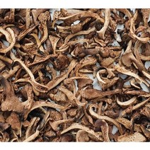 국산 건능이 버섯 50g 100g 국내산 자연산 능이버섯을 말린 건조 능이, 국산 건능이 100g (생능이 1kg말린것), 1개