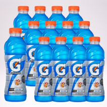 게토레이 블루볼트 이온음료 대용량 업소용 사무실음료 600ml 12개, 음료수 12개세트