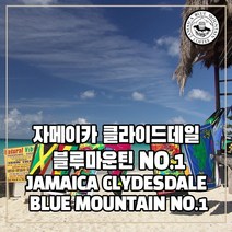 [커피생두] 자메이카 블루마운틴 No.1 1KG