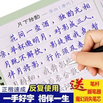 만년필 따라쓰기 정체의 글씨본 서첩 글씨를 연습 스티커 해서다 홈 하드 펜 고등학교 빅 여학생 스윗 2659386421, 베이스_늘문자를사용하고있다1붓대6펜리필심1쥐기필기