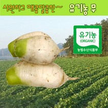 무우 유기농 무 2kg, 8kg