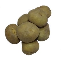 그린팜 생 알감자 1kg, 단품