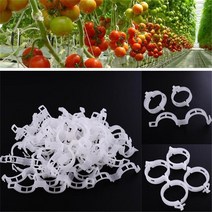 100 pcs 식물 클립 덩굴 플라스틱 고정 야채 정원 온실 과일 묶인 버클 래싱 후크