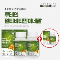 눈시력 좋아지는 안구 건조증 소중한 눈 침침한 눈 보호 건강 관리 에 좋은 루테인 멀티 비타민 미네랄 보조제 영양제, [2+1]9개월분