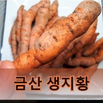햇생지황 국내산 생지황 500g 600g 1kg (옵션선택), 생지황500g