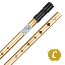 프로페셔널 아이리쉬 휘슬 플루트 C D bB bE Key 나오미 아일랜드 틴 페니휘슬 도금 목관 악기, 1PC bB Key Gold