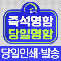 즉석명함 당일명함 소량명함/10장부터 인쇄/당일발송/당일 방문수령, 컨셉, 양면, 30장