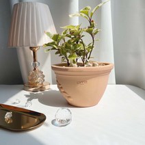 ENVIE CASA 올리브 토분, 23 cm, 1개