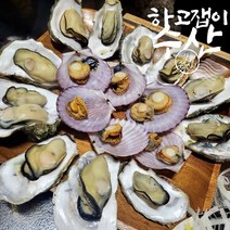 통수산 최상급 통영생굴, 생굴1kg