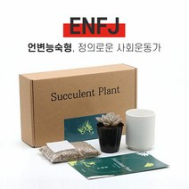 MBTI 다육이 키우기 키트 ENFJ, 다육이 선택:적토이