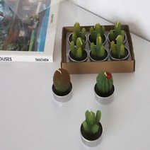 캔들공방 재료 워머 우드윅 석고 방향제 소이 테라리움 용기 미니, 2