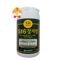 잘자람 S16 1kg 씨감자 소독 마늘 생강 소독 유황분말, 1000g, 1개