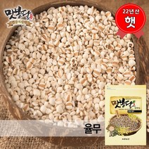 맛봉달 햇 22년산 국산율무 율무 율무쌀 국내산, 1개, 1kg