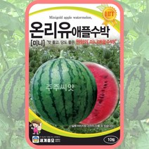 미니수박 씨앗 10립 미니 온리유 애플수박 씨앗 종자 수박 과일 씨 봄 여름