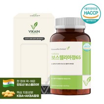 보스웰리아정 보스웰리아 알약 캡슐 인도산 보스웰릭산 65% 보수엘리아 보스월리아 추출물 가루 추출분말 자연 식물성 원료 식약청 식약처해썹 인증 제품 추천, 보스웰리아정 65 600mg x 120정, 600mg, 120정