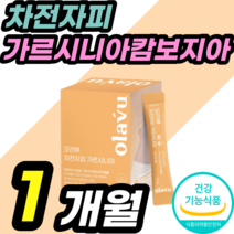 여자뱃살 빼는법 단기간다이어트 차전자피 HCA 차전차피 장건강 환 프로바이오틱스 피쉬 콜라겐 여자친구 여자들 위한 영양제 지방합성억제 뱃살 팔뚝살 식약처인증 건강식품 제품