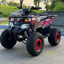 4륜 사륜 바이크 4발 오토바이 ATV 비치 자전거 125cc 가솔린 비치 쿼드 전, 빨간색