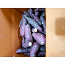 오지승 농장 해남꿀고구마 못난이고구마10kg, 1박스, 10kg못난이(50g~500g)