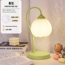 테이블 램프 침실 머리맡 램프 고가의 조명 럭셔리 2022 하이 엔드 테이블 램프 그물 붉은 꽃 분위기 호박 야간 조명, 6. 라임 그린 3색 디밍 웜 옐로우 웜 화이트 퓨어