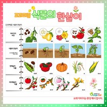 (OR) [과학교구] 교과퍼즐 식물의 한살이