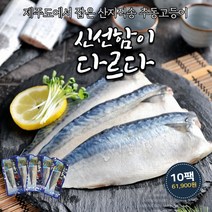 제주도 추동고등어 추석선물세트 산지직송 5팩 10팩 15팩 180g내외, 제주추동고등어 180g내외 10팩