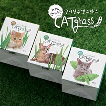 [스토어봄] 캣그라스 키우기 세트 컵형-꿈쟁이, 상품선택:밀, 상세설명 참조