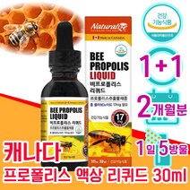 캐나다 식약처 인증 프로 플로 폴라 폴리 포 폴리스 포리스 추출물 플라 프라 보노이드 액상 리퀴드 스포이드 항산화 면역력 면연력 좋은 음식 식품 남자 남성 여성 여자 40대 중년, 1+1 2개월분 - 다니마켓