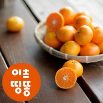 산지직송 제주도 서귀포 고당도 타이벡 조생 하우스 감귤 2.5kg 4.5kg, 타이벡감귤, 9kg 중대과