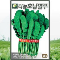 다농 호남열무 씨앗 25g 열무씨 종자, C 무 - 근채류 01~45, C 26 호남열무 25g