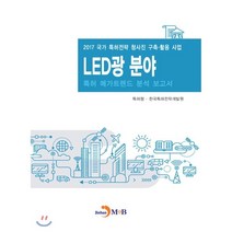 LED광 분야 특허 메가트렌드 분석 보고서 2017 : 2017 국가 특허전략 청사진 구축·활용 사업, 진한엠앤비, 식품의약품안전처 저