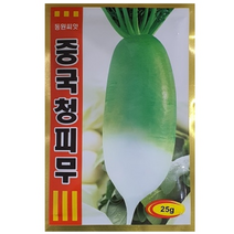 단단하고 저장성이 좋은 중국청피무 씨앗 25g