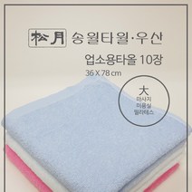 [송월타월] 마사지/미용실/가정용/ 업소용타올(대 36 x 78) 10장, 하늘