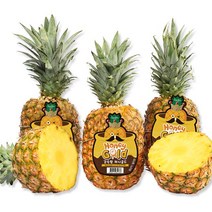 감숙왕 허니골드 파인애플3수(1수당1kg내외) /2개주문시7수발송, 감숙왕 파인애플 1kg내외X4수 /2개주문시 9수발송