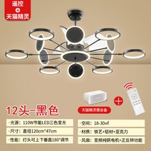 북유럽 선풍기 램프 크리에이티브 넷 레드미러 거실 레스토랑 샹들리에 리모컨 컨버터블-192950, 옵션10
