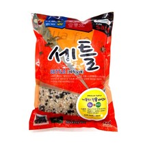 세틀 바닥재 거북이 전용 바닥재 2kg, 혼합 색상, 1개